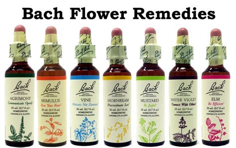 Unlock The Secrets Of Weight Loss With Bach Flower Remedies Enjoy A Great Life