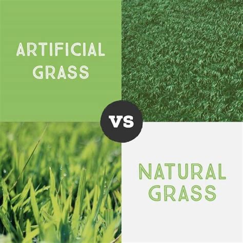 Artificial Grass Vs Natural Grass Comparison Hill Horticulture