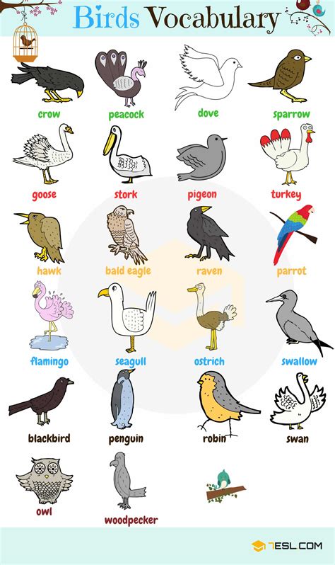 Think about heaven descriptions from different holy books around the different cultures around the world. Learn Animal Names in English - ESLBuzz Learning English