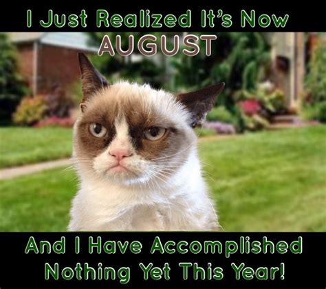 Grumpy Cat Its Already August And I Have Accomplished Nothing Yet