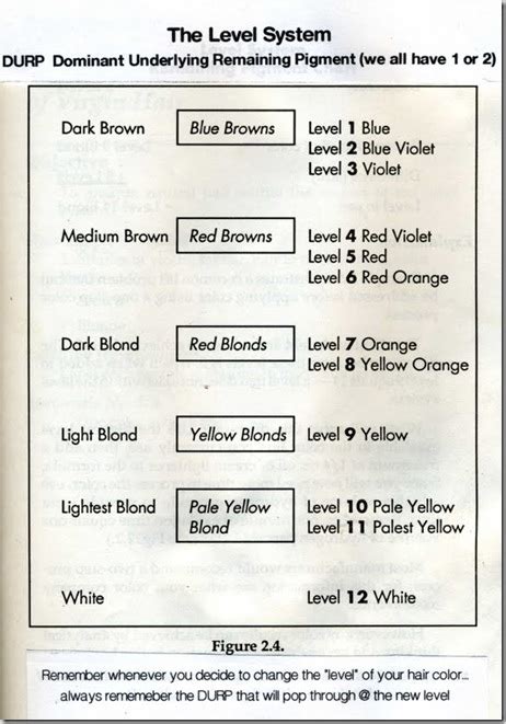 Universal Hair Color Chart