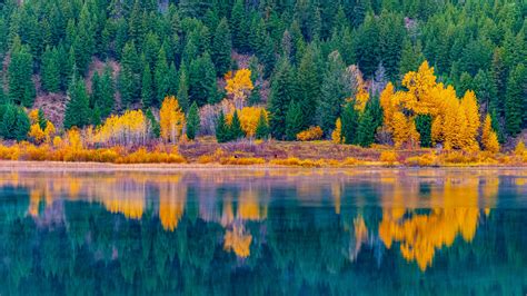 Download Wallpaper 3840x2160 Forest Trees Lake Water Reflection