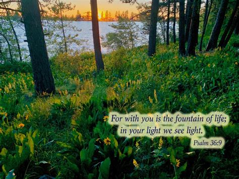 Bible Verse Photos Archives - Praise Photography