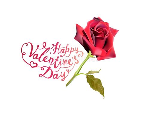 Happy Valentine`s Day Red Rose Stock Vector Illustration Of Beauty