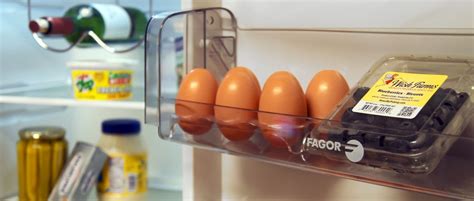 Fagor customer service reviews, complaints and comments about fagor customer support. Fagor Torre FFJA4845X Apartment Refrigerator Review - Reviewed