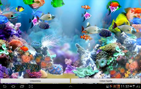 Aquarium Live Wallpaper Windows 10 Wallpapersafari