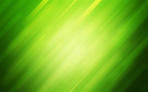 Green Color Background Wallpaper 56 Images