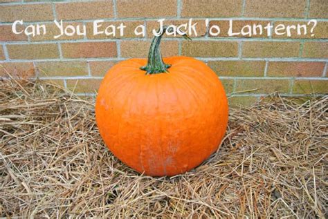 We did not find results for: Can You Eat Your Jack 'o Lantern Pumpkin?