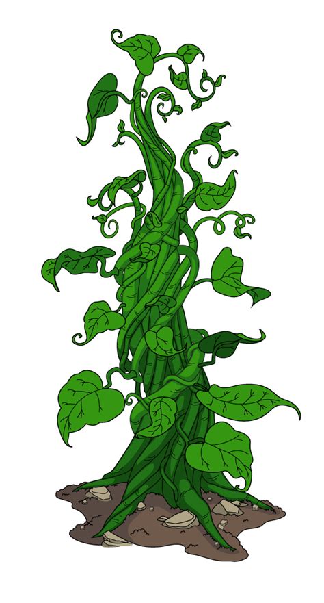 Beanstalk Png Free Transparent Clipart Clipartkey Images And Photos
