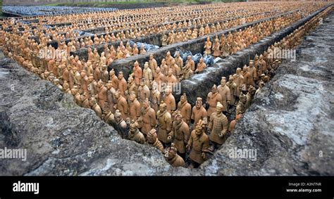 exact replicas of chinese emperor qin terracotta army in the forbidden gardens in katy texas