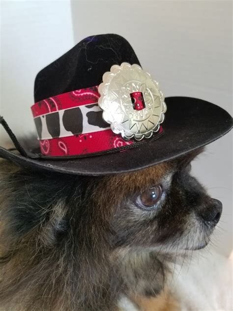 Dog Cowboy Hat Cowboy Hat For Dogs Or Cats Rodeo Cowboy Etsy