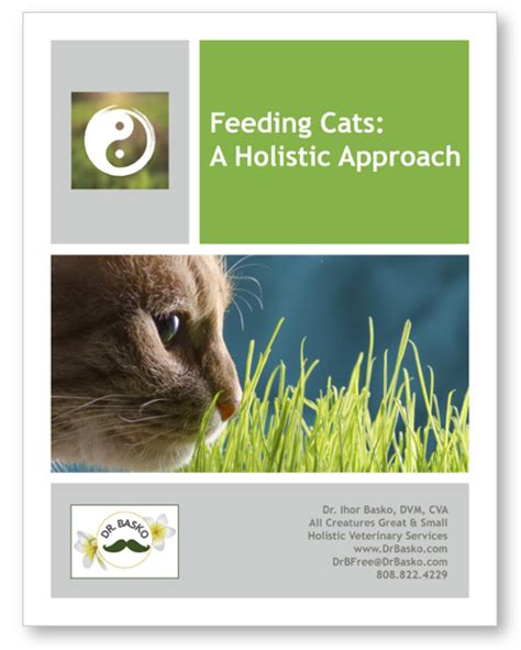 Feeding Cats A Holistic Approach Digital Dr Basko Holistic