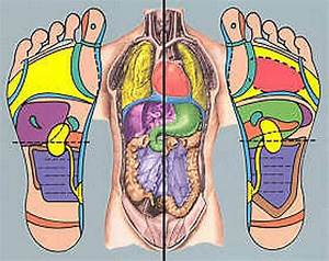 Reflexology Foot Chart Reflexology Holistic Therapies Foot Detox Bath