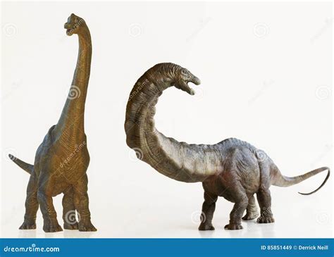 Un Dinosaurio Del Brachiosaurus Al Lado De Un Apatosaurus Imagen De