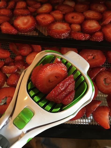 Dehydrating Strawberries Frugal Upstate