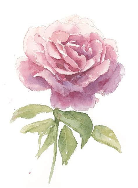How To Paint Watercolor Roses From Sketch To Finished Painting