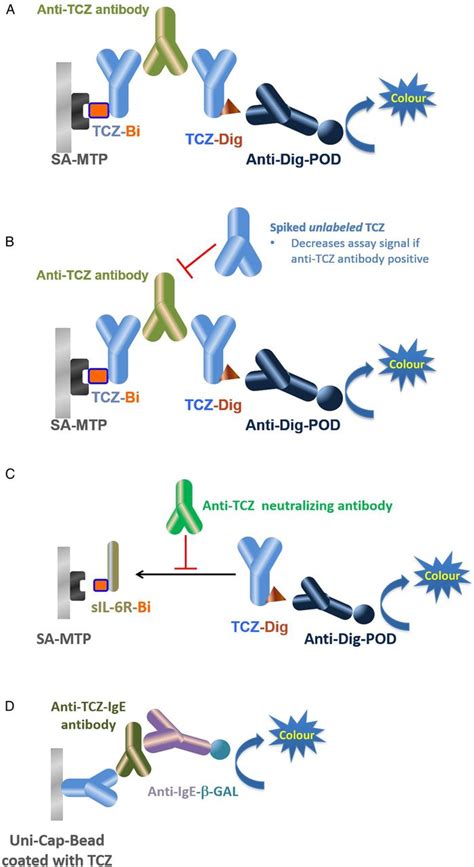 Low Immunogenicity Of Tocilizumab In Patients With Rheumatoid Arthritis