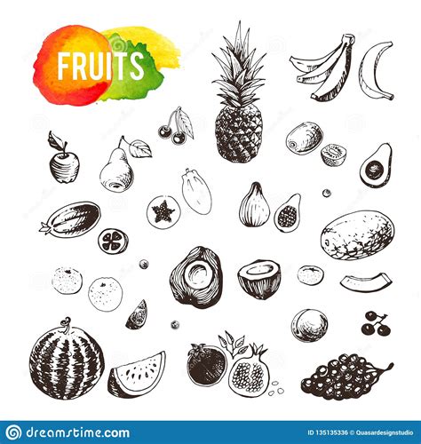 Hand Drawn Fruits And Berries Set Vector Icons Stock Vector