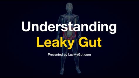 Understanding Leaky Gut Syndrome Youtube