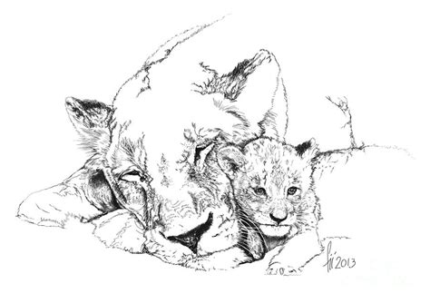 Sketch Lioness And Her Cubs Coloring Pages