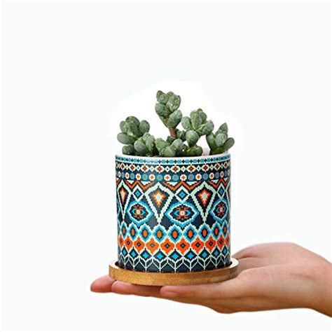K Musculo Succulent Pots 3 Inch Cylindrical Bohemian Mandalas Ceramic