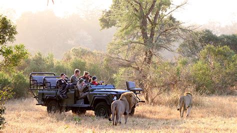 My Kruger National Park Wildlife Experience Davids Been