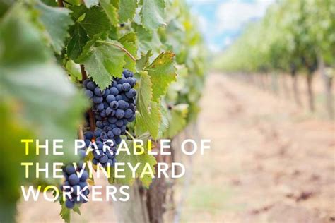 3 Life Lessons From The Parable Of The Vineyard Workers