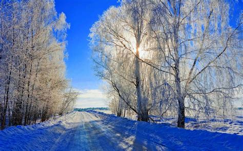Nature Winter Snow Road Tree Forest Sky Landscape White