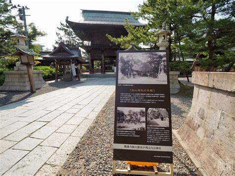 白山神社の蓮池（新潟県新潟） 水辺遍路