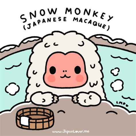 Download Snow Monkey Clipart For Free Designlooter 2020 👨‍🎨