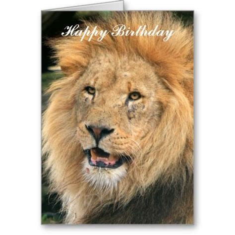 Lion Head Male Beautiful Photo Happy Birthday Card Zazzle Happy