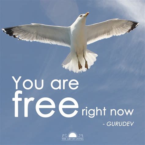 Can we guess your zodiac sign? You are free right now. - Jai Gurudev inspiration Quote
