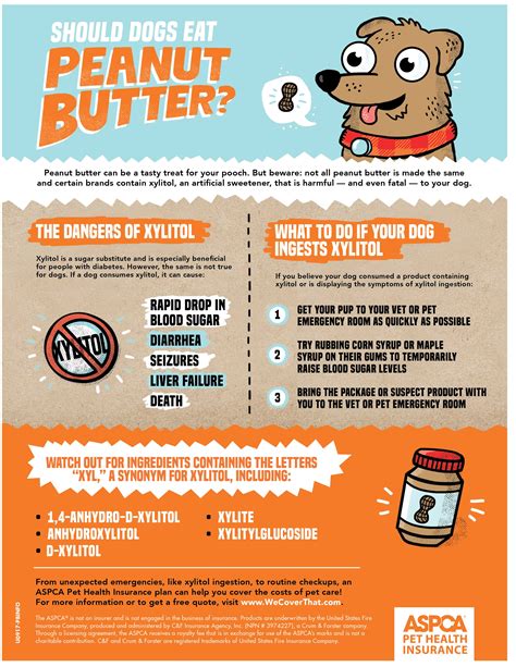 Should Dogs Eat Peanut Butter Animal Hospital Greer Sc Milestone