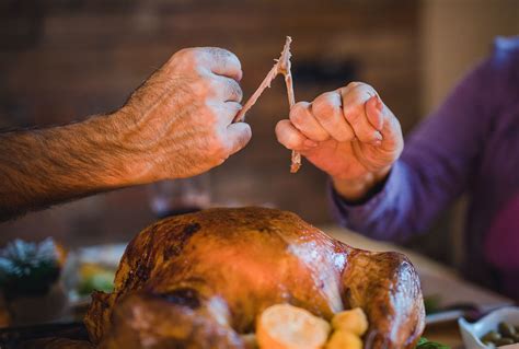 Consider The Wishbone What We Can Learn From A Thanksgiving Turkeys