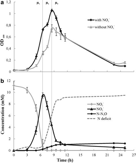 Nitrous Oxide Emission By The Non Denitrifying Nitrate Ammonifier