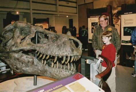 Famous ‘a T Rex Named Sue Exhibit To Open Jan 24 2015 Pressroom