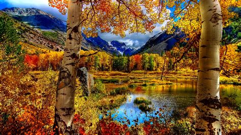 Fall Computer Backgrounds 76 Images
