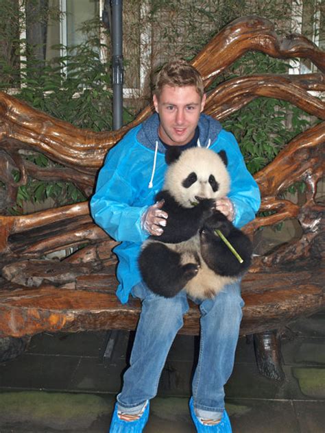 How To Hold A Panda In The Chengdu Panda Centre In China