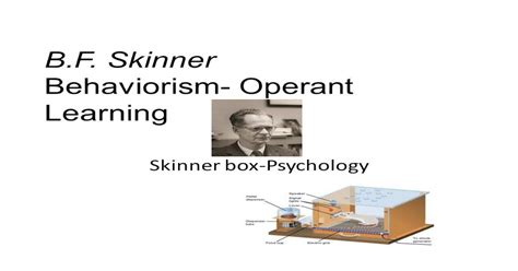Bf Skinner Behaviorism Operant Learning Skinner Box Psychology