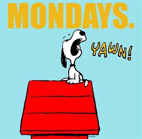 Mondays Snoopy Quotes Snoopy Snoopy Love