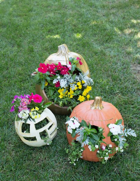 Three Pumpkins With Flowers In Them Sitting On The Grass