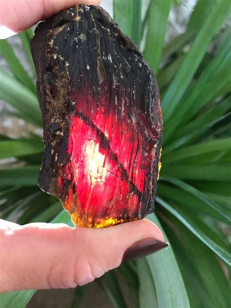 Fluorescent Amber Super Rare Deep Red Translucent Amber From Sumatra