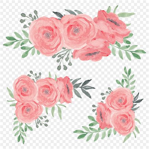 Colecci N De Decoraci N De Ramo De Flores Rosas Acuarela Clipart De Rosas Decoraci N