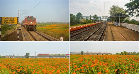 Flowers by the station hours. The Valley of Flowers: Khirai, Panskura, West Bengal