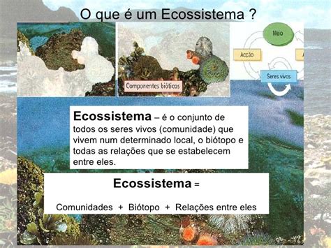 Fundamentos da ecologia Biologia A ciência da vida