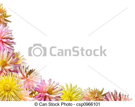 Grafica cornice fiore cartoncino lucido premium white da 300gr Cornice, fiori. Set, cornice, white), (isolated, pink ...
