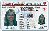 Print Copy Of Driver''s License Images