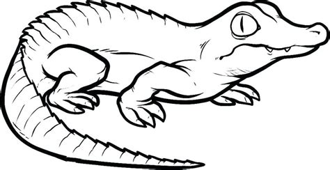 Reptile Coloring Pages - Best Coloring Pages For Kids