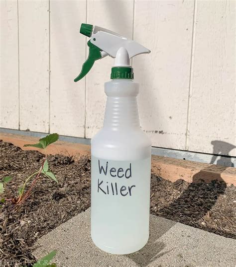 4 Non Toxic Weed Killers For Your Yard List In Progress