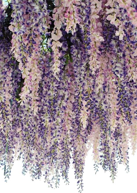 Bean Signature Cascading Flowers Purple Flowers Lavender Hanging